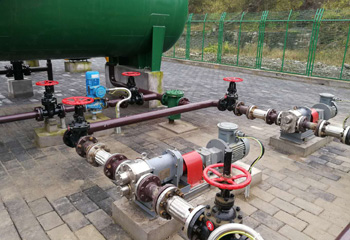 污水凸轮转子泵现场
